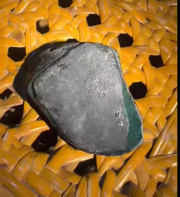 莫西沙 モウシシ 0.27kg - 画像 (2)