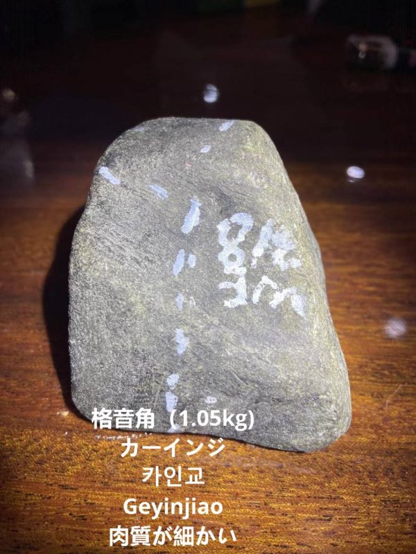 格音角(1.05kg)カーインジ카인교Geyinjiao肉質が細かい